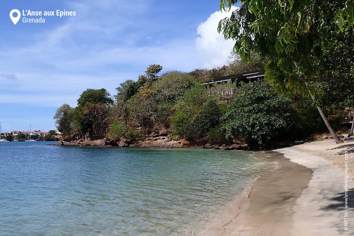 Anse aux Epines Beach, Grenada