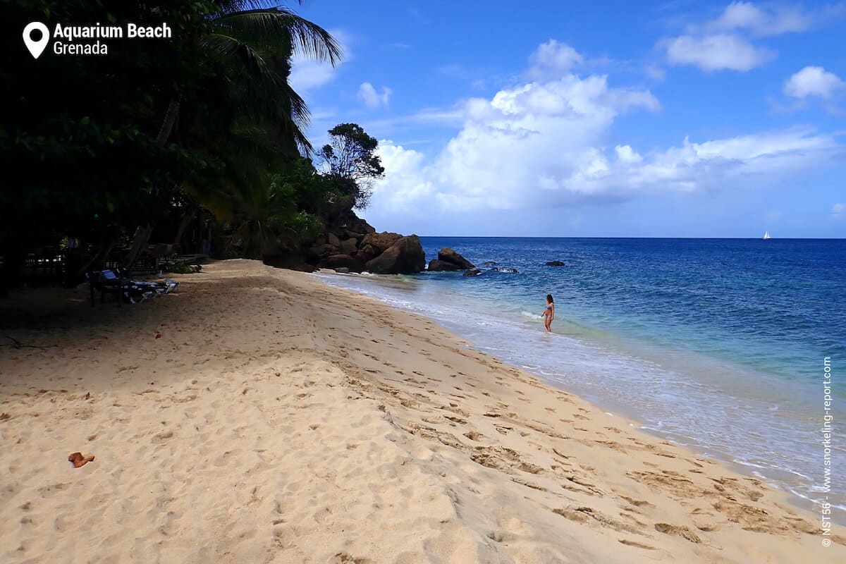 Aquarium Beach, Grenada