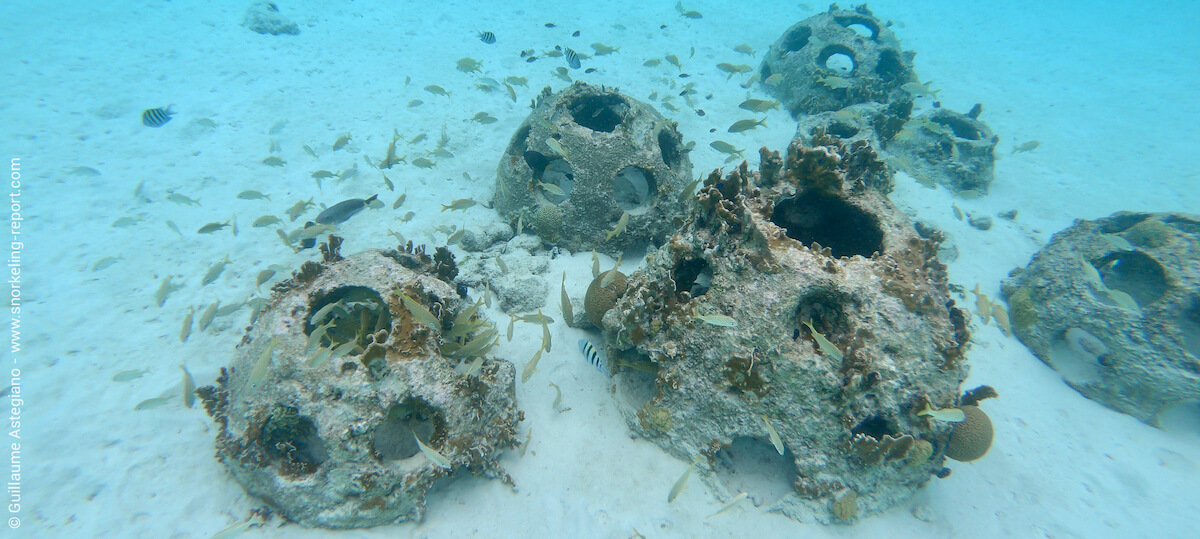 Artificial reefs in Curacao