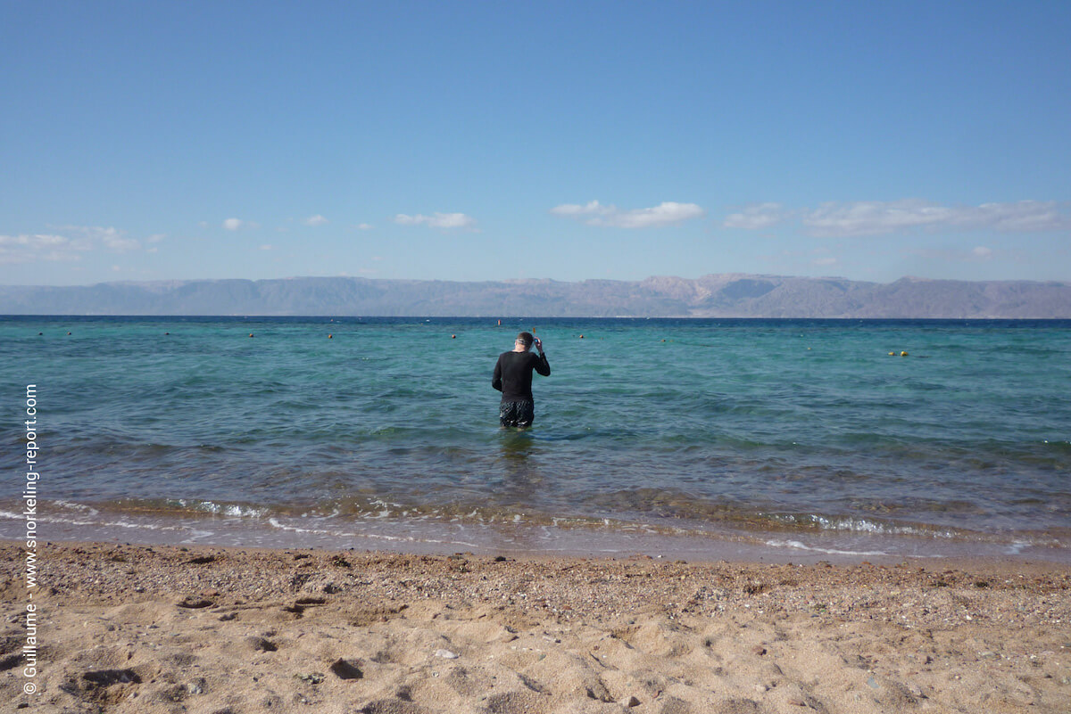 Shore snorkeling in Aqaba.