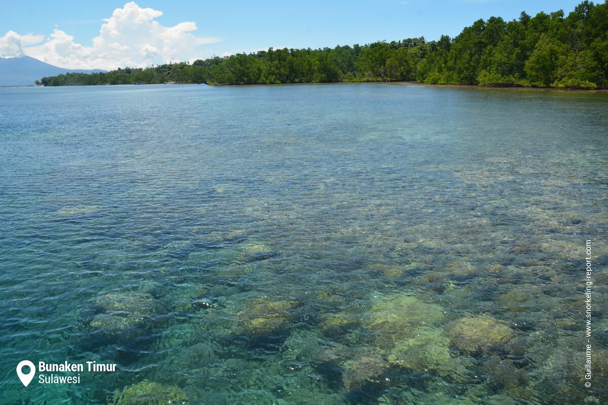 Bunaken Timur's reef, seen from a boat, approximately in front of Lorenso's Cottage.