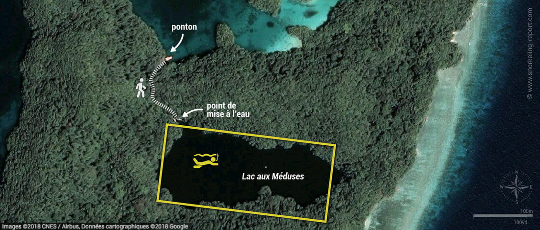 Carte snorkeling au Lac aux Méduses, Palaos