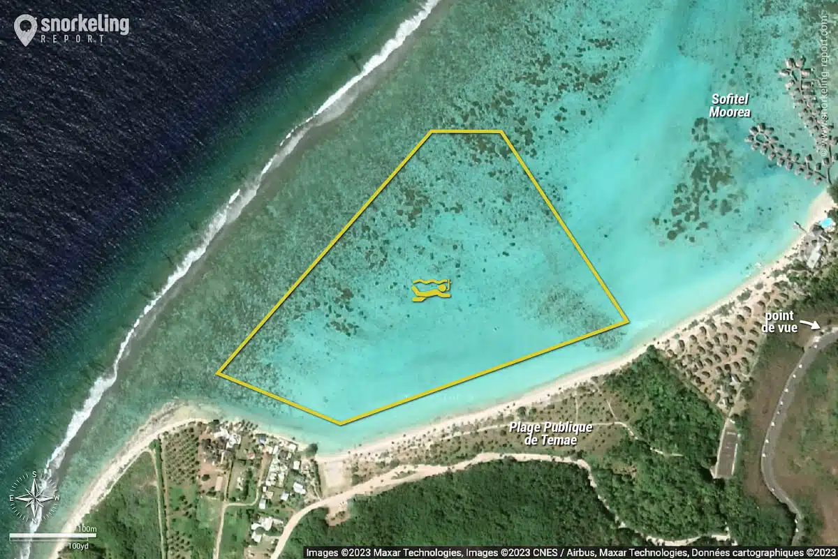 Carte snorkeling a la Plage de Temae, Moorea