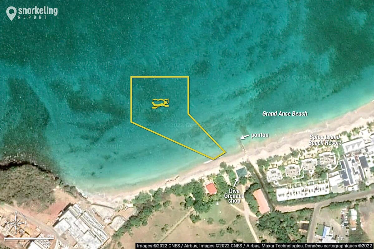 Carte snorkeling sur le récif artificiel de Grand Anse