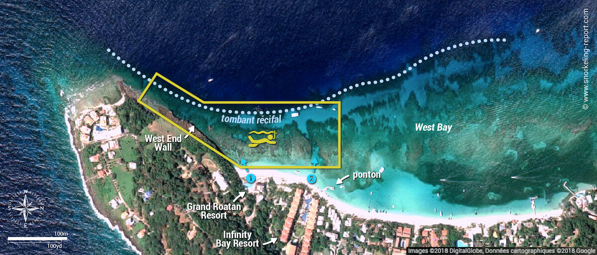 Carte snorkeling à West Bay, Roatan