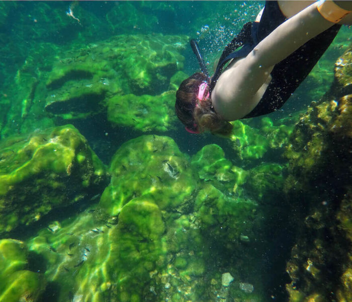 Cenote Jardín del Edén