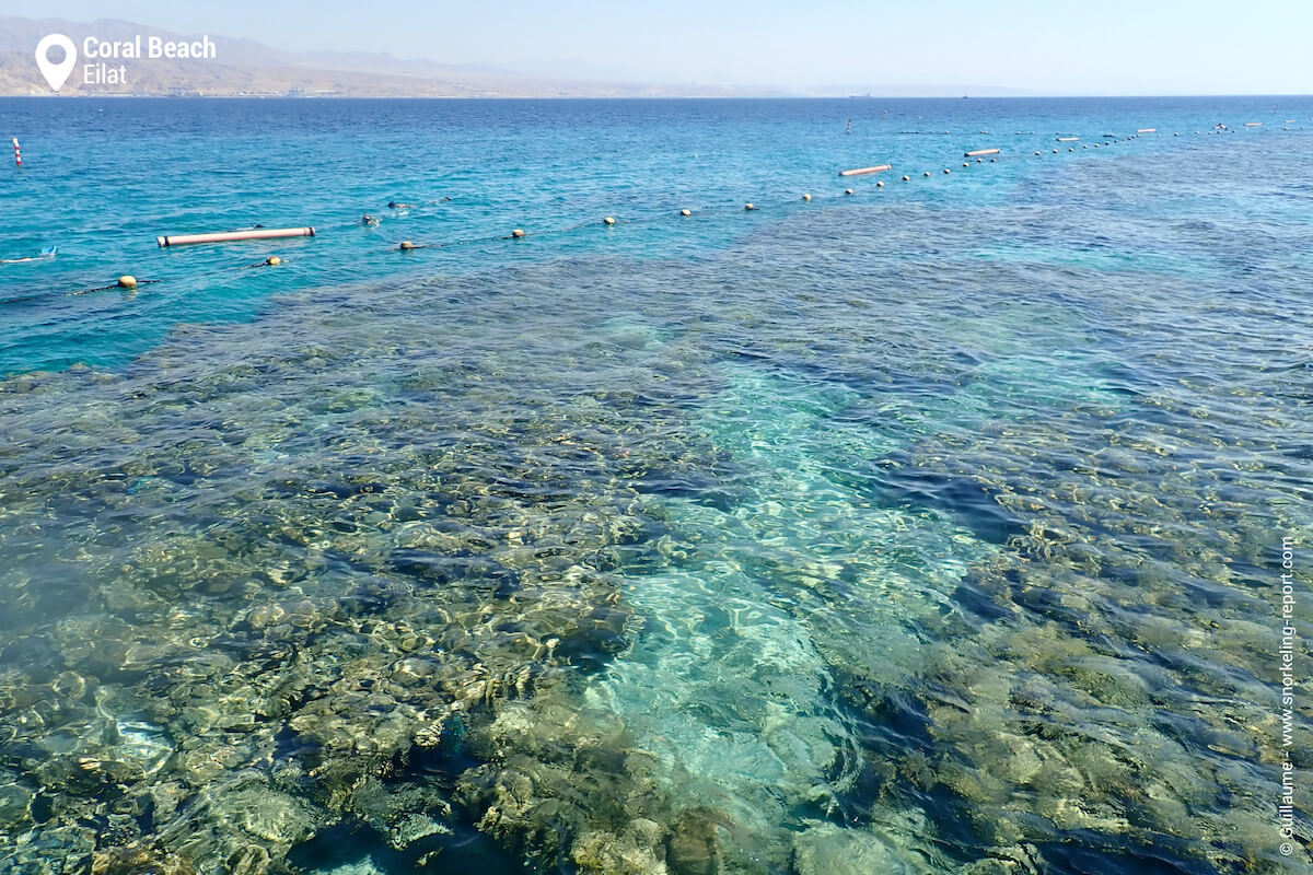 View of Coral Beach reef from the jetty