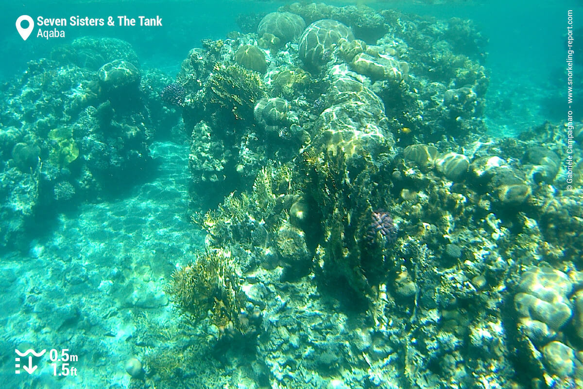 Coral reef at Seven Sisters and the Tank