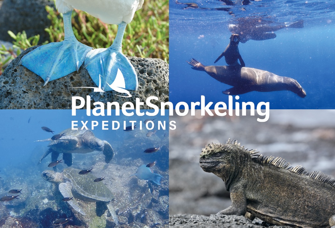 GALAPAGOS 2026 SNORKELING LIVEABOARD