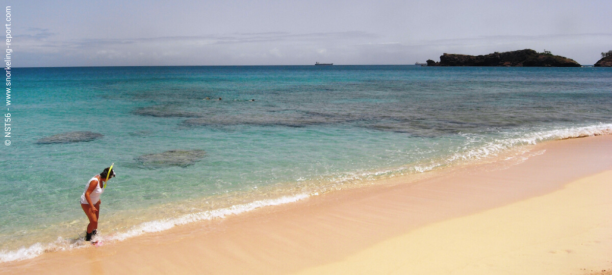 Galley Bay house reef