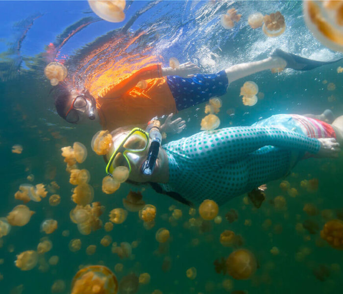 Jellyfish Lake