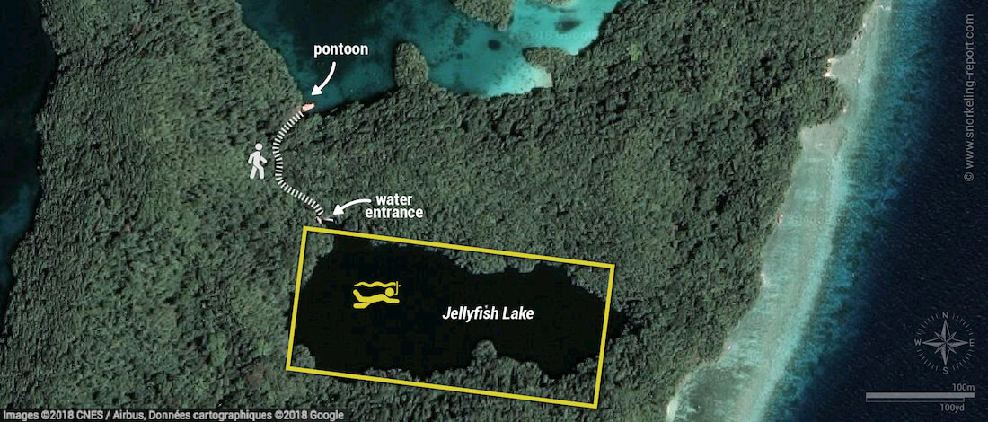 Jellyfish Lake snorkeling map, Palau