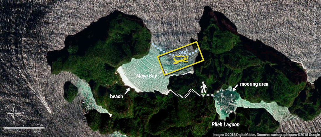 Maya Bay snorkeling map, Phi Phi Islands, Thailand