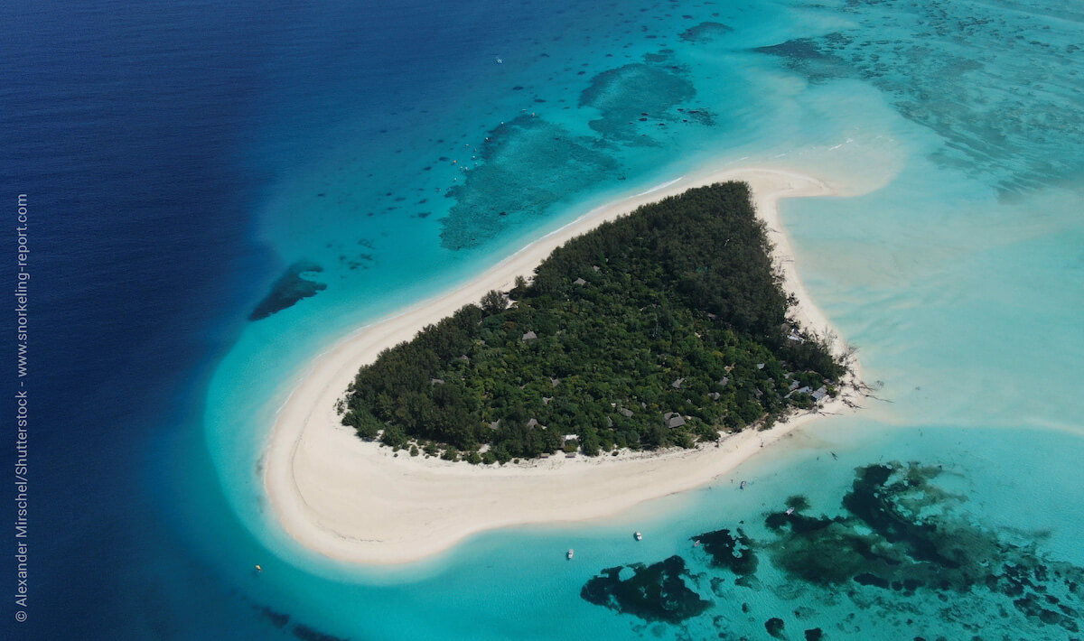 Mnemba Island reef