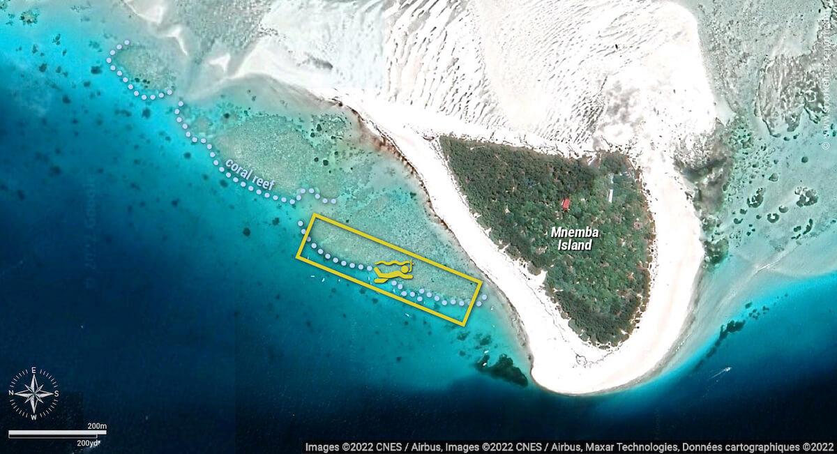 Mnemba Island snorkeling map, Zanzibar