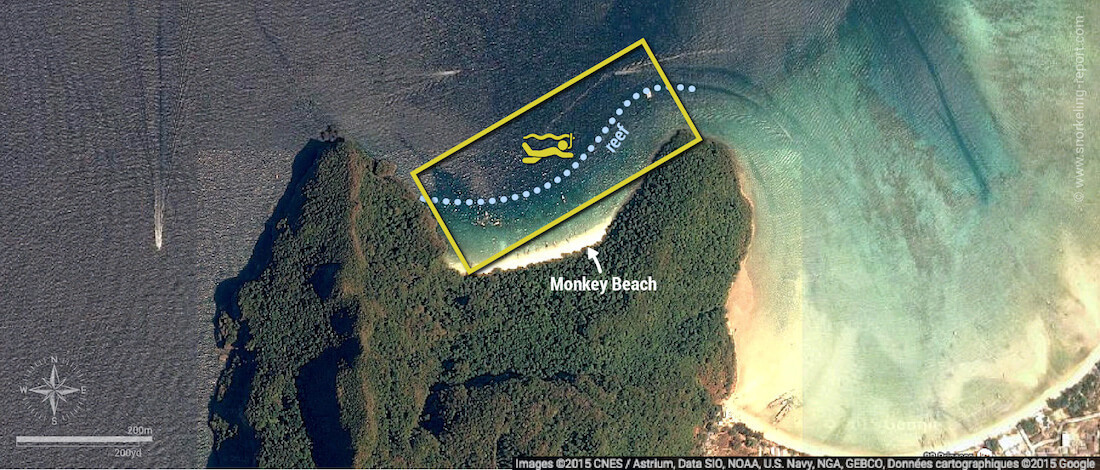 Monkey Beach snorkeling map, Phi Phi Islands