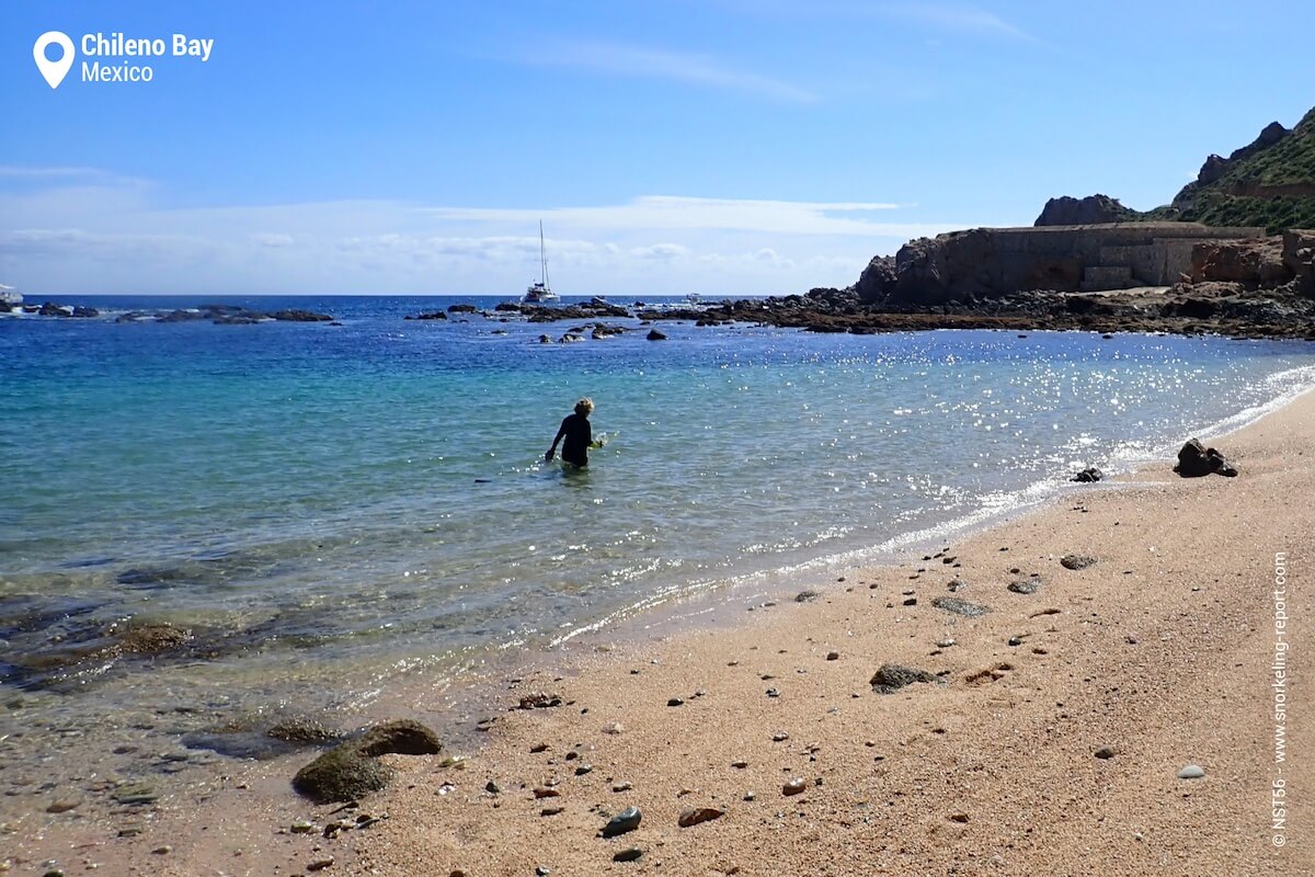 Chileno Bay snorkeling from the beach