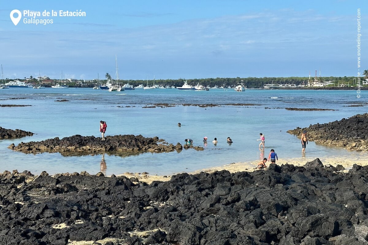 Playa de la Estacion, Puerto Ayora