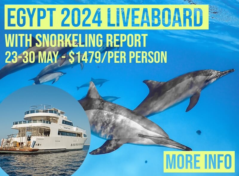 Egypt 2024 Snorkeling Liveaboard