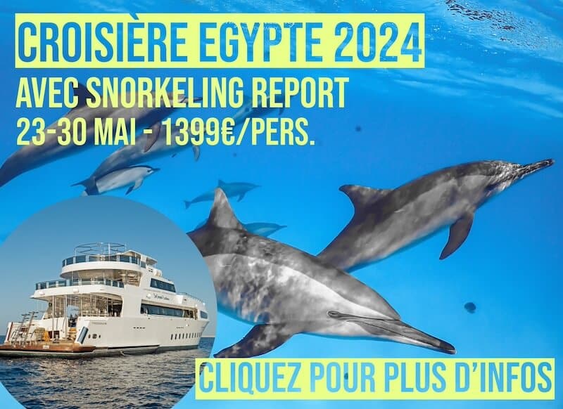 Croisière Snorkeling Egypte 2024