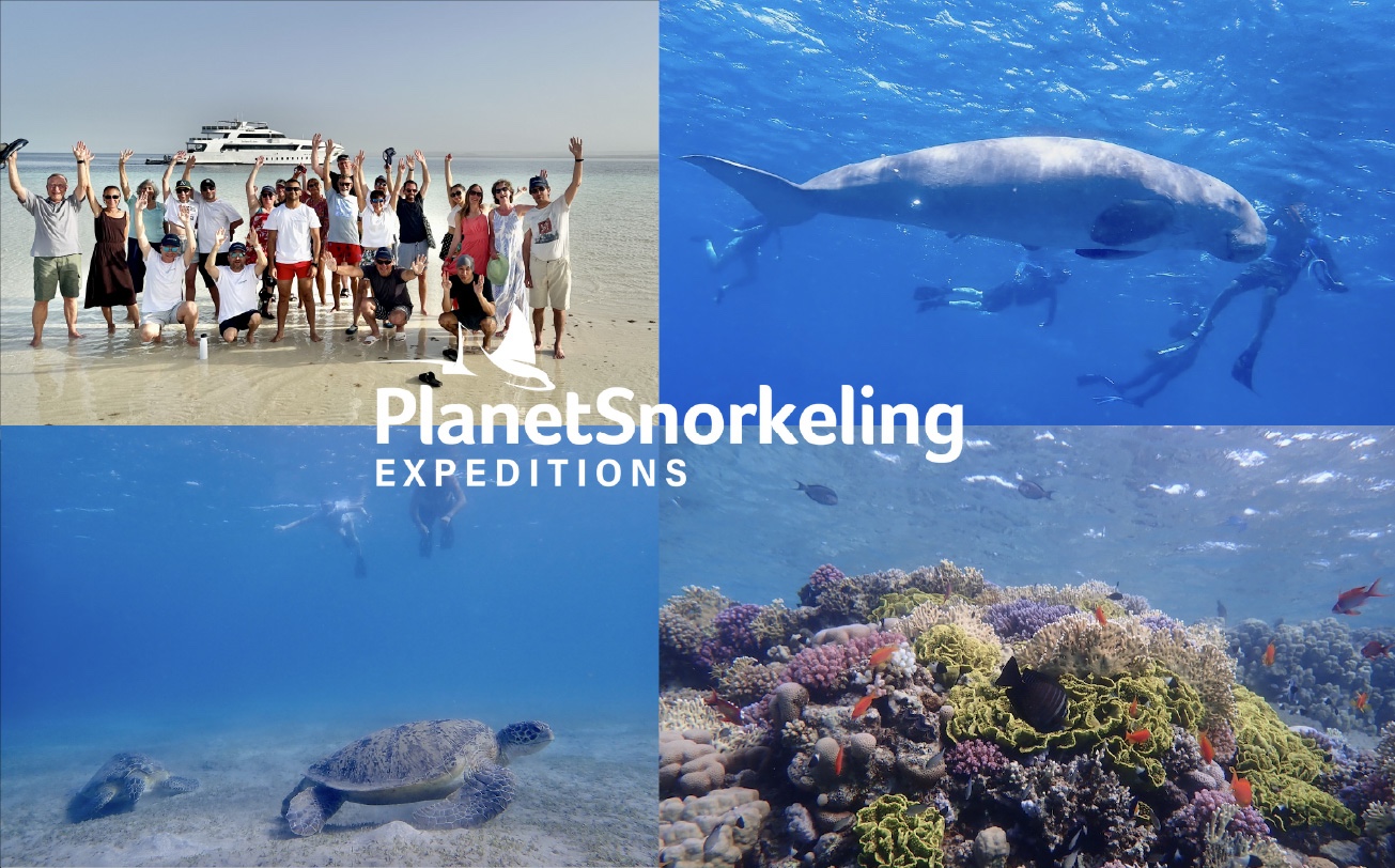 EGYPT 2025 SNORKELING LIVEABOARD