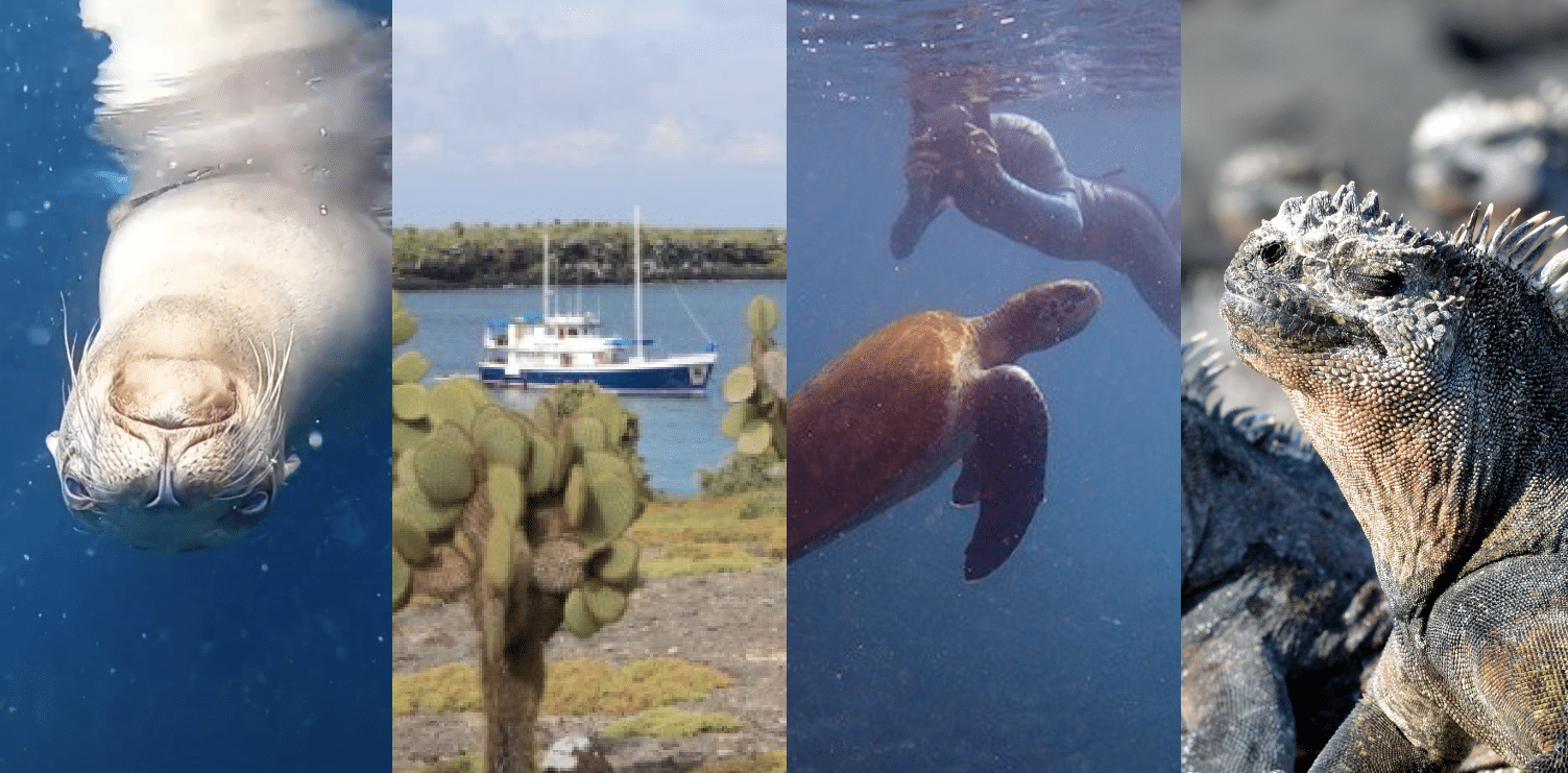 GALAPAGOS 2024