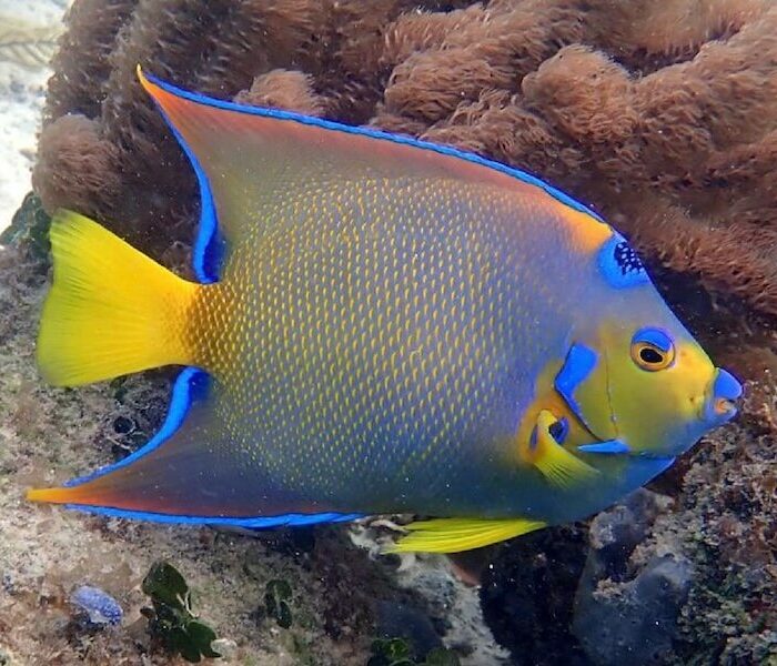 Puerto Morelos
