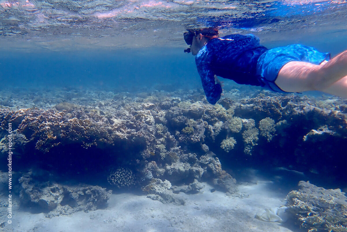 Snorkeler in the Japanese Garden shallows