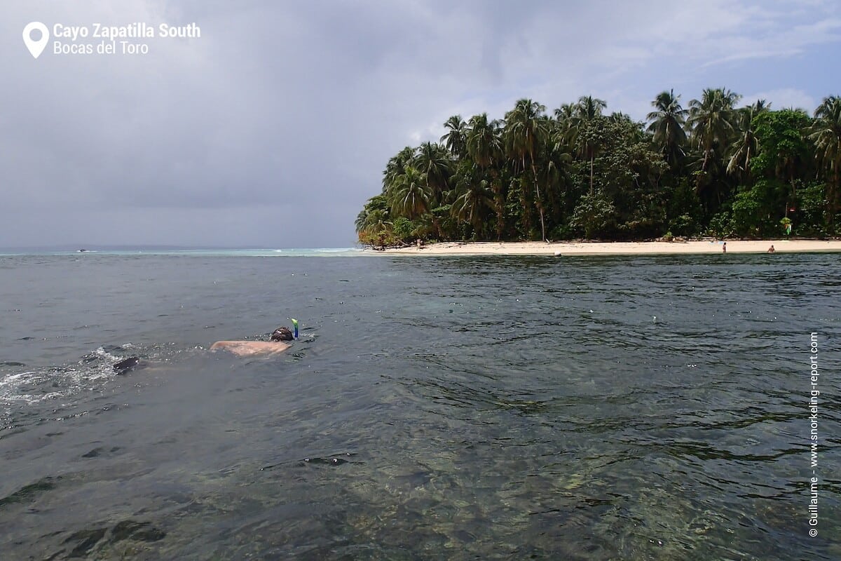 Snorkeling in Cayo Zapatilla South