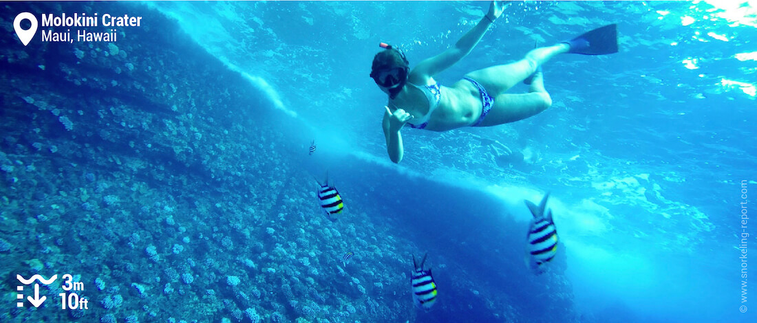 Snorkeler at Molokini Atoll