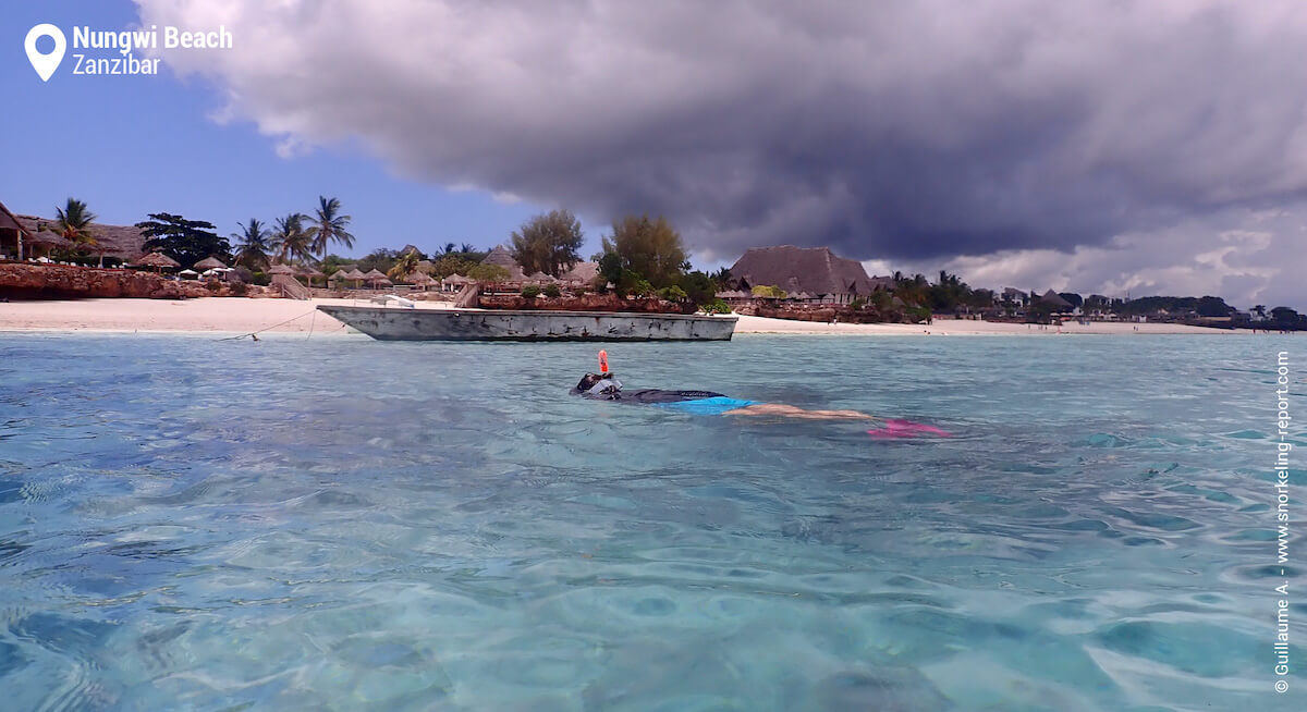 Snorkeler in Nungwi Beach