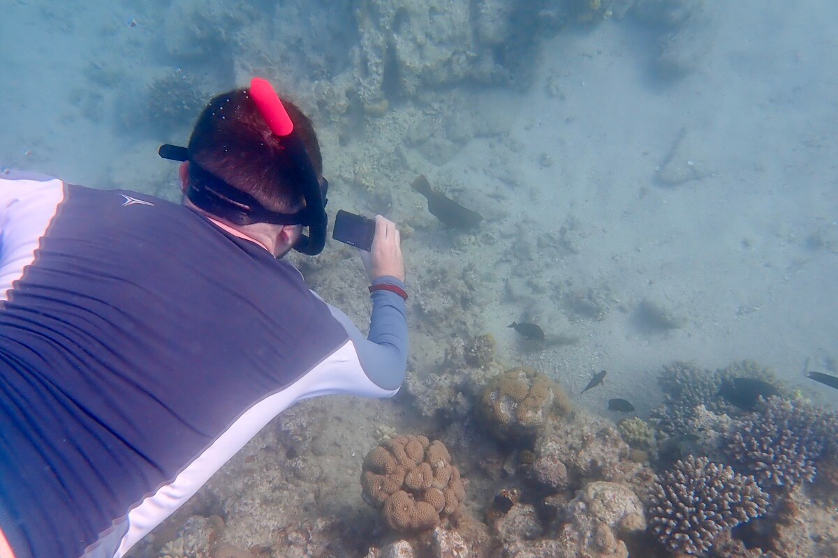 Snorkeler taking picture of a fish at Coral Beach.