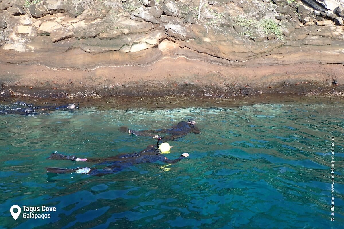 Snorkelers at Tagus Cove