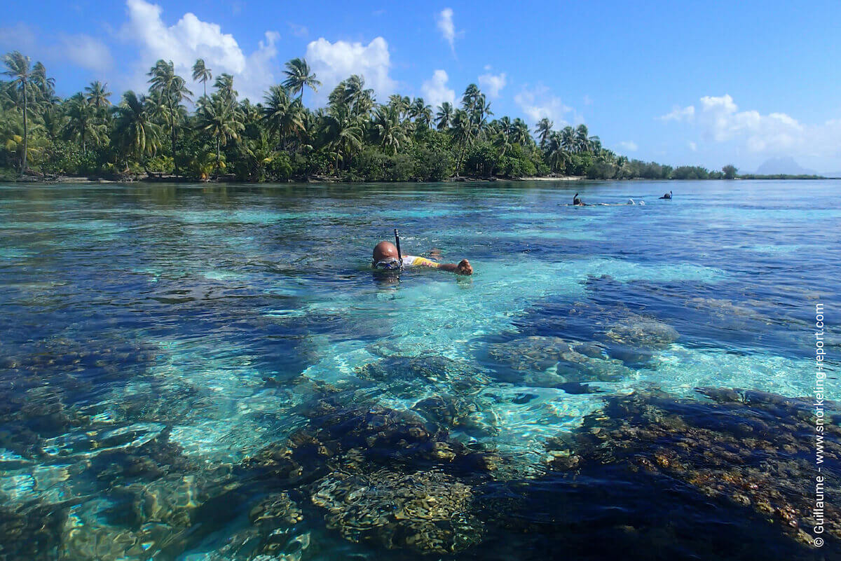 Snorkelers at Tahaa's Coral Garden