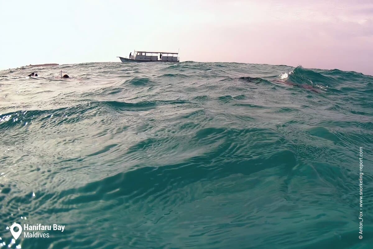 Snorkeling boat at Hanifaru Bay