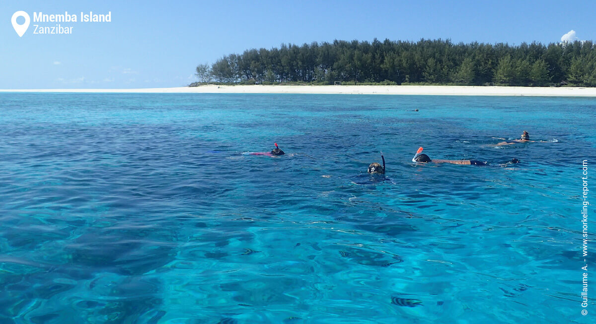 Snorkelers exploring Mnemba Island's reef
