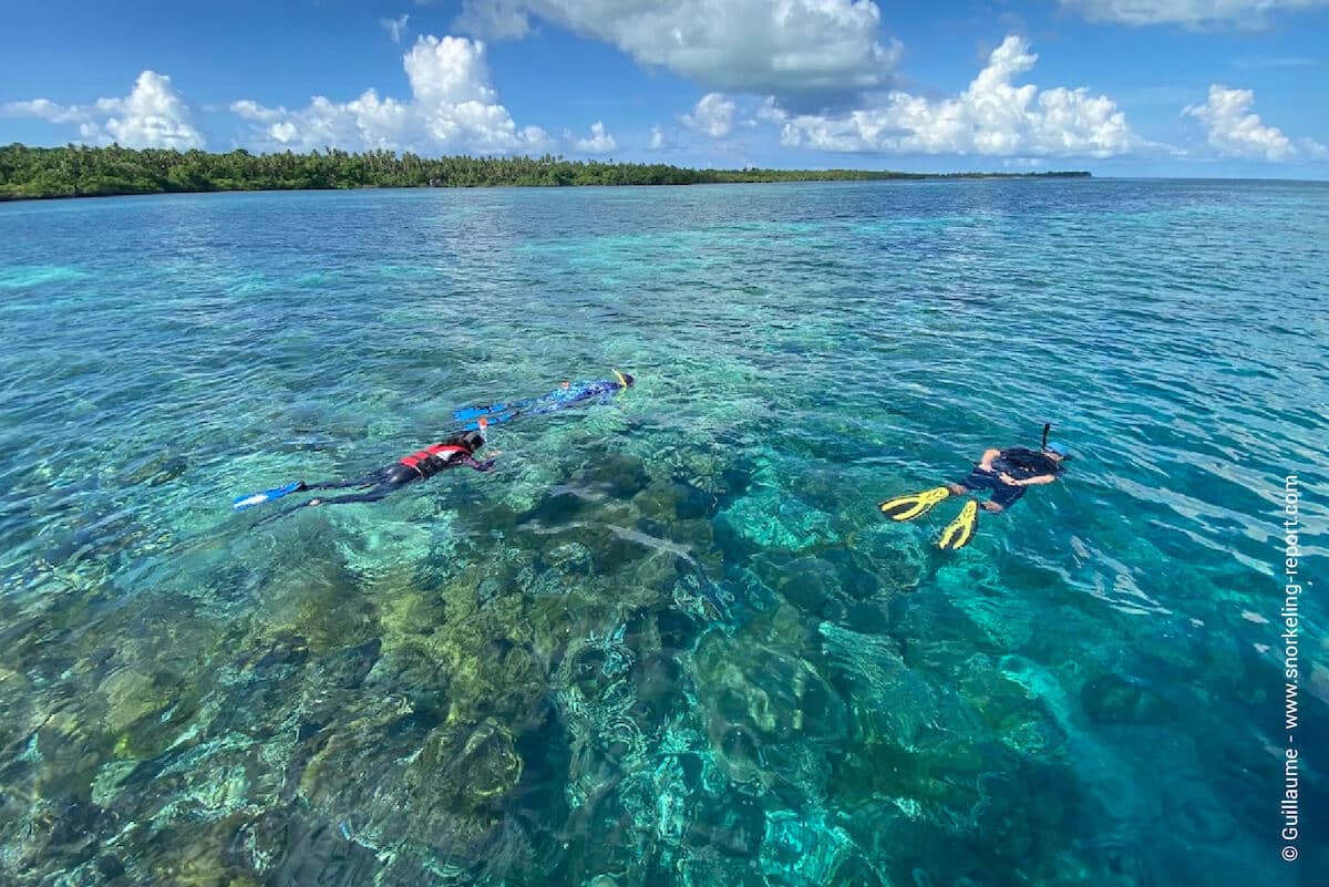 Snorkelers in Wakatobi