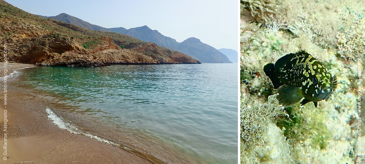 Snorkeling in Cartagena, Murcia