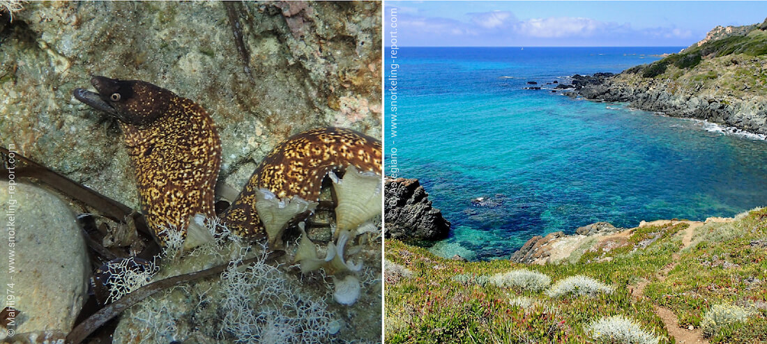 Snorkeling Corsica's rocky coast