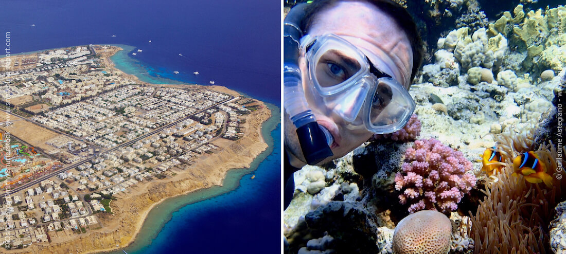 Snorkeling avec des poissons-clowns à Sharm El-Sheikh, Red Sea