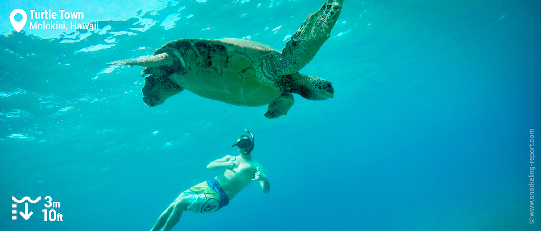 Snorkeling avec les tortues de Turtle Town, Maui