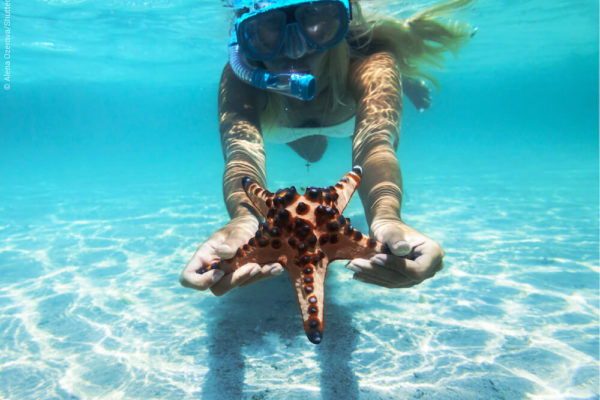 Snorkeling with starfish