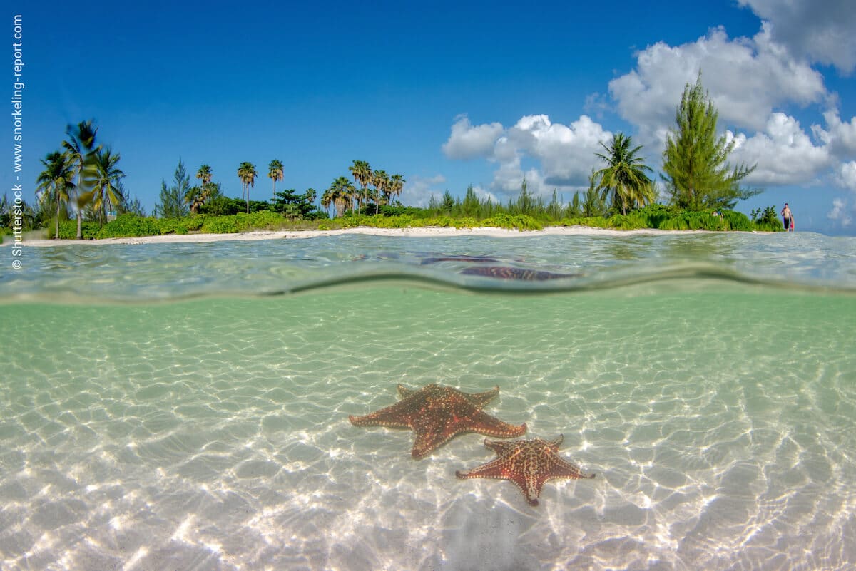 Starfish Point, Cayman Islands