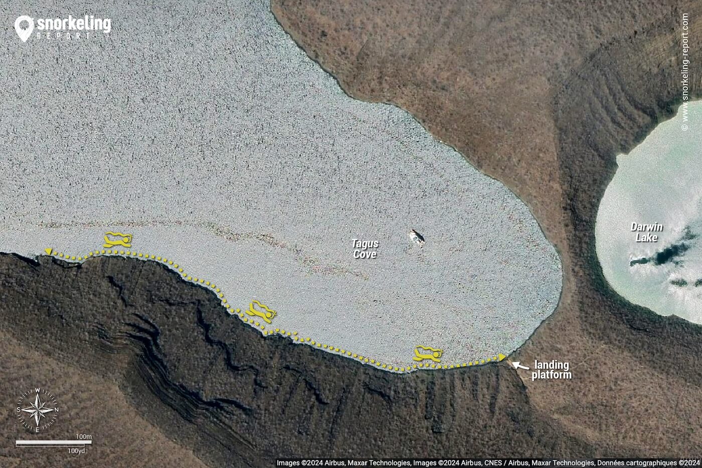 Tagus Cove snorkeling map, Isabela