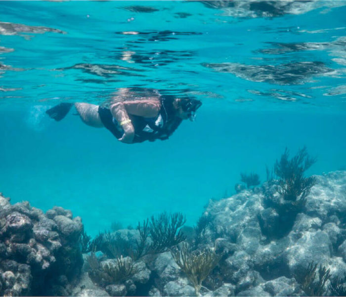 Tulum Reef