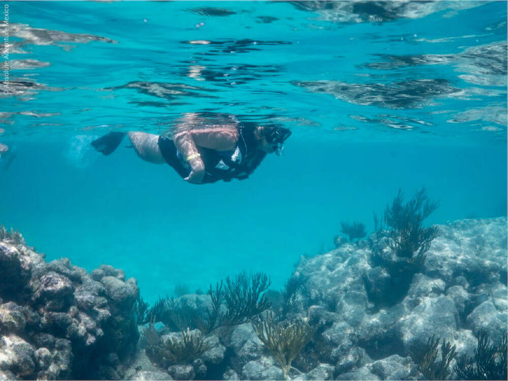 Top 3 places to do snorkel in Cancun