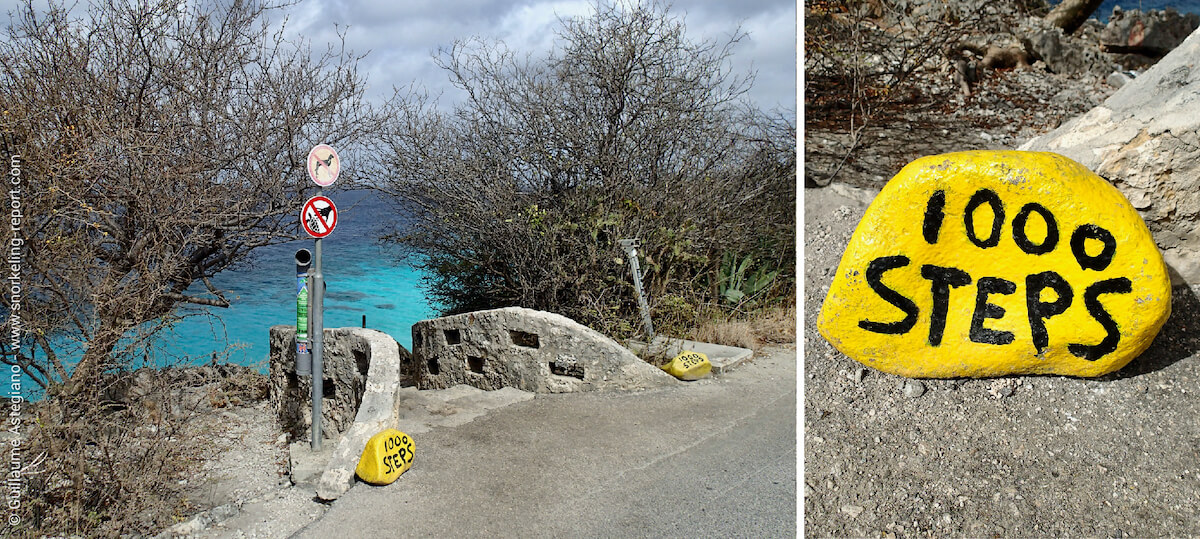 Yellow stones dive sites Bonaire