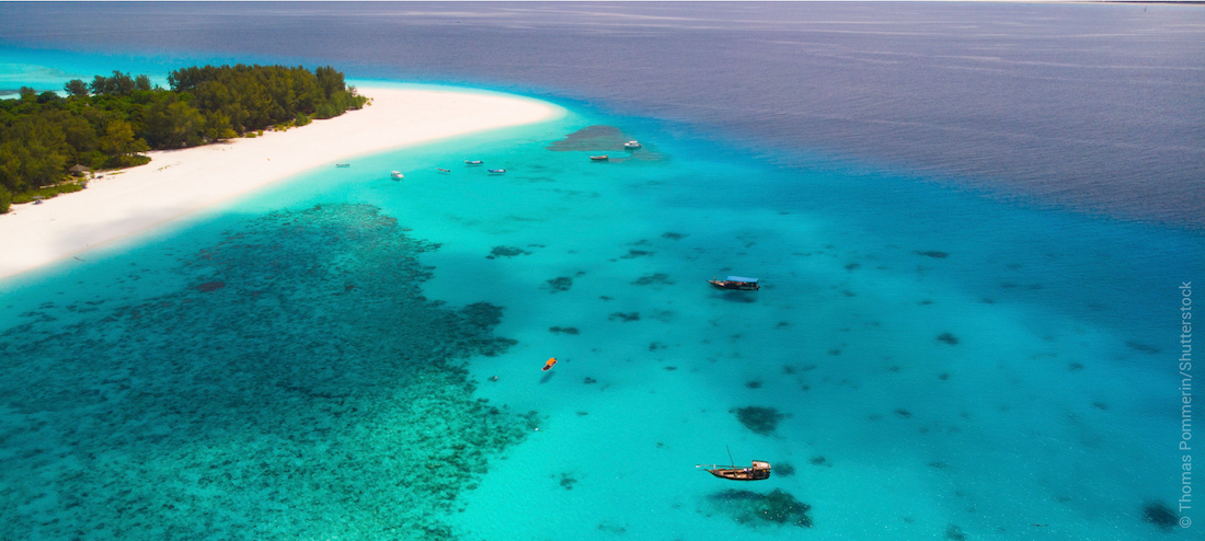 Aerial view of Mnemba Island's coral reef