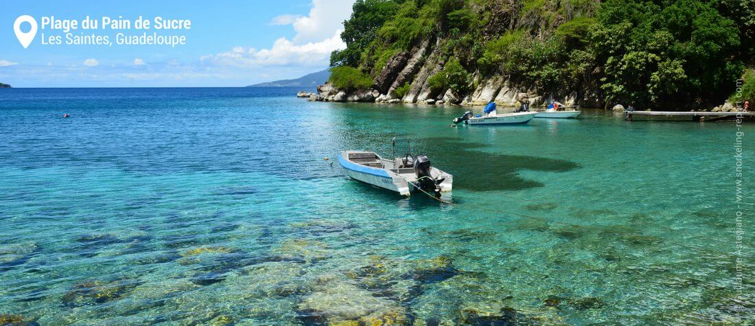 Snorkeling dans la baie du Pain de Sucre, Les Saintes, Guadeloupe