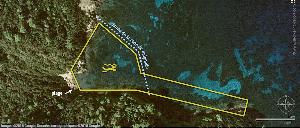 Carte snorkeling à l'Anse de la Fausse Monnaie, Port Cros